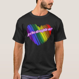 Camiseta Os heteros estão bem LGBTQ+ humor gay arco-íris pr