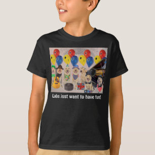 Camiseta Os laboratórios apenas querem ter o divertimento!