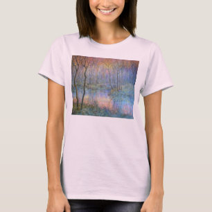 Camiseta Os pantanais no por do sol