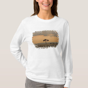 Camiseta Os raios de sol laserando pela tarde