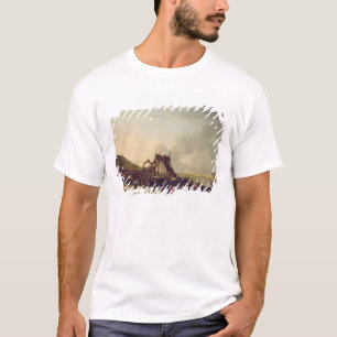 Camiseta Os roller coaster no Neva no St.