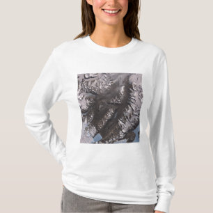 Camiseta Os vales secos de McMurdo