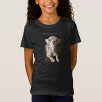 Oscar o t-shirt/camisola azuis da chihuahua