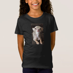 Camiseta Oscar o t-shirt/camisola azuis da chihuahua
