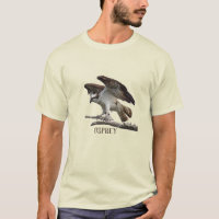 Osprey 2020