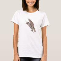 Osprey com peixe