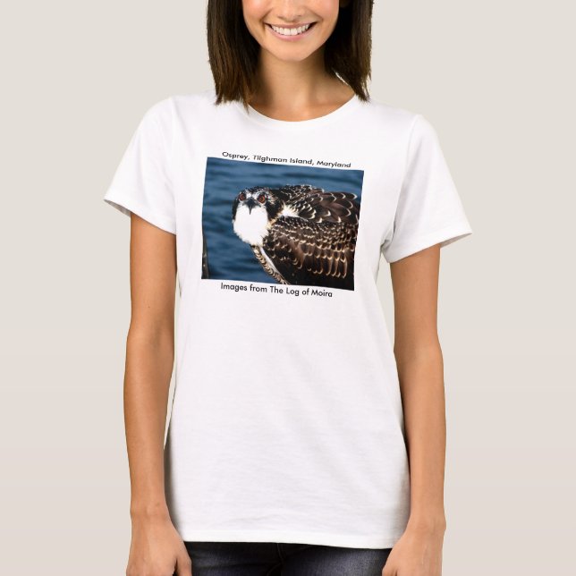 Camiseta Osprey, ilha de Tilghman, porto do Dogwood, (Frente)