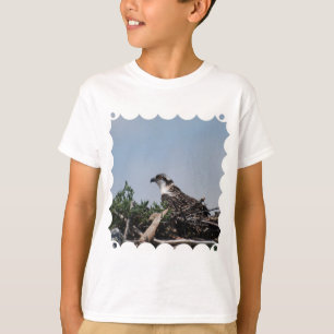 Camiseta Osprey que senta-se no t-shirt da juventude do