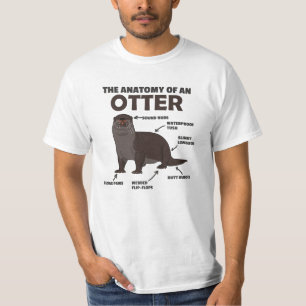 Camiseta Ótima Explicação Da Outra Anatomia De Uma Outra