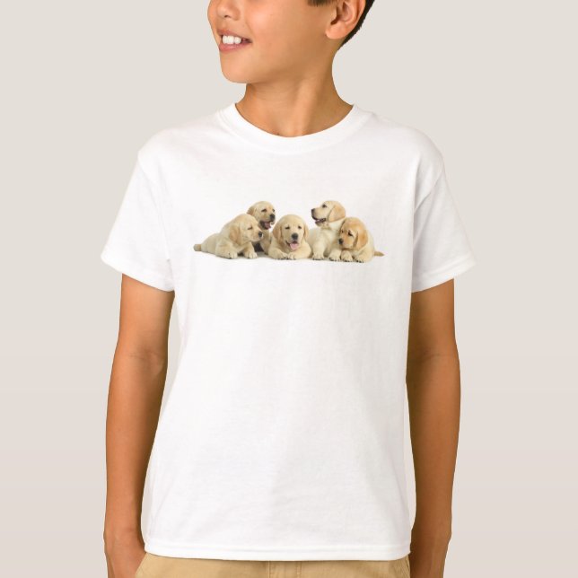 Camiseta Ouro Labrador Puppie (Frente)