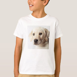 Camiseta Ouro Labrador Puppy