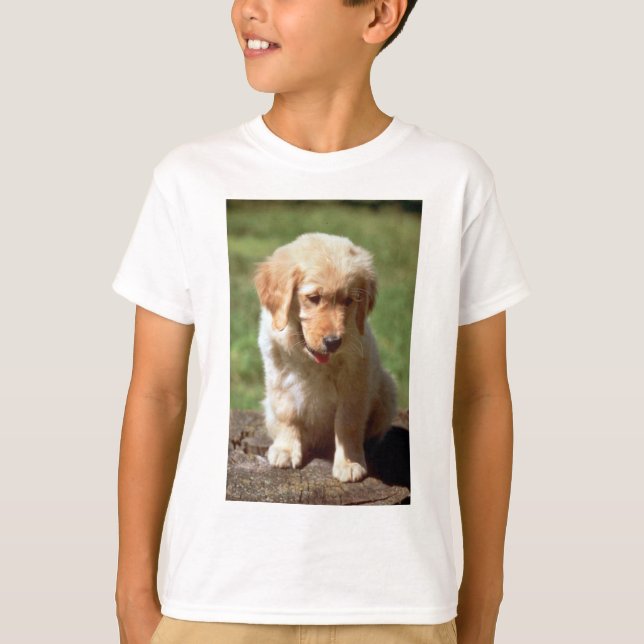 Camiseta Ouro Retriever (Frente)