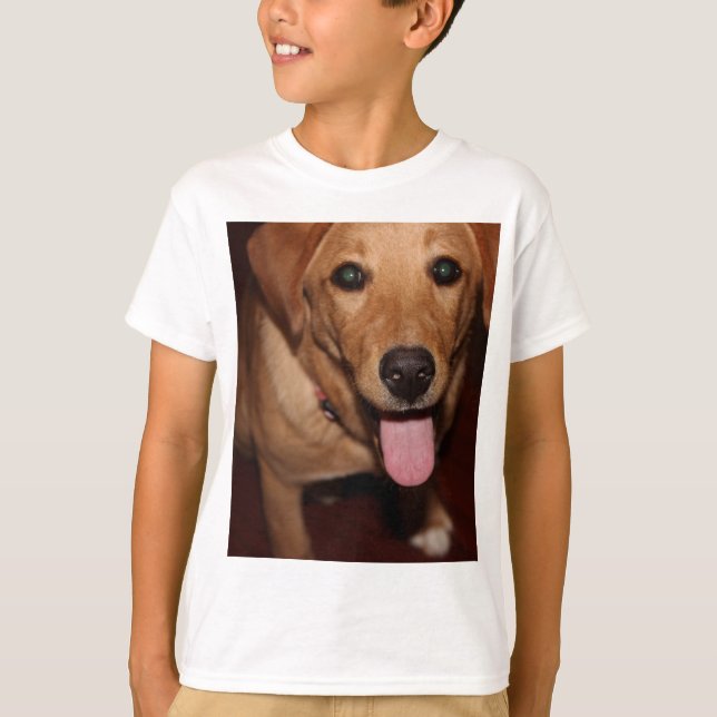 Camiseta Ouro Retriever Dog 5 (Frente)