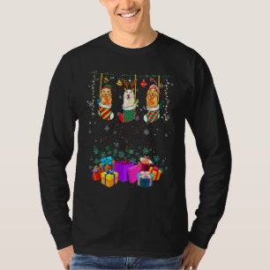 Camiseta Ouro Retriever Luzes de Natal Xmas Meias