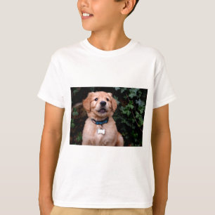 Camiseta Ouro Retriever Puppy