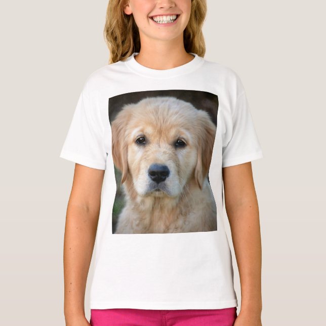 Camiseta Ouro Retriever Puppy (Frente)