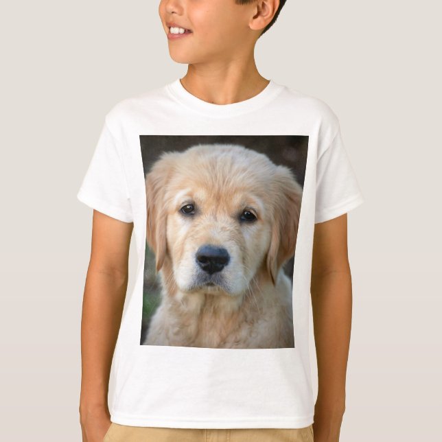 Camiseta Ouro Retriever Puppy (Frente)
