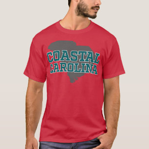 Camiseta Outline de Cinzas de olina do Sul Costeira