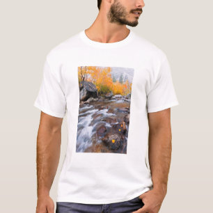 Camiseta Outono ao longo do Bispo Creek, CA