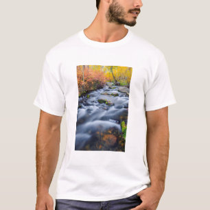 Camiseta Outono ao longo do Lundy Creek, Califórnia