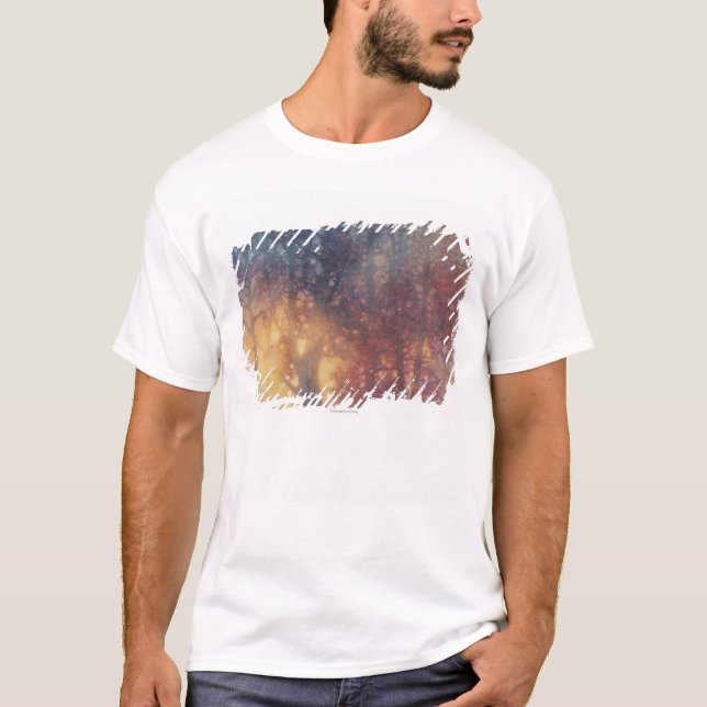 Camiseta Outono colorido (Frente)