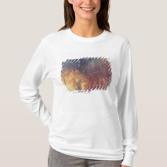 Camiseta Outono colorido (Frente)