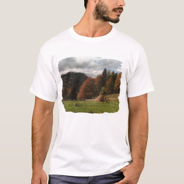 Camiseta Outono Com Raposa De Montanha E Haystack (Frente)