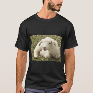 Camiseta Ovelha de Fazenda de carneiro