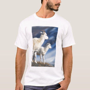 Camiseta ovelhas dall, Ovis dalli, ovelha e cordeiro