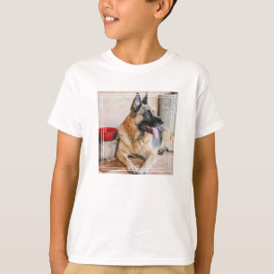 Camiseta Ovinos Alemães Descansados Por Bacia De Água