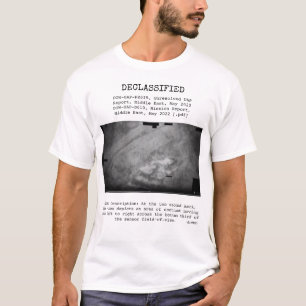 Camiseta OVNI - Desclassificado DOW-UAP-PR019, PAN ORIENTE