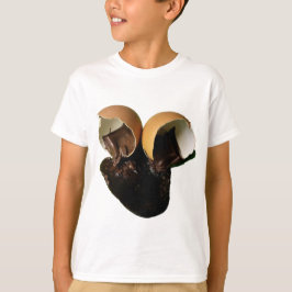Camiseta Ovos de Chocolate Novidade