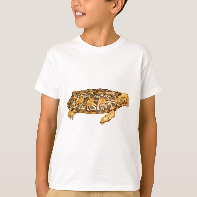 Camiseta P é para Pancake Tortoise (Frente)
