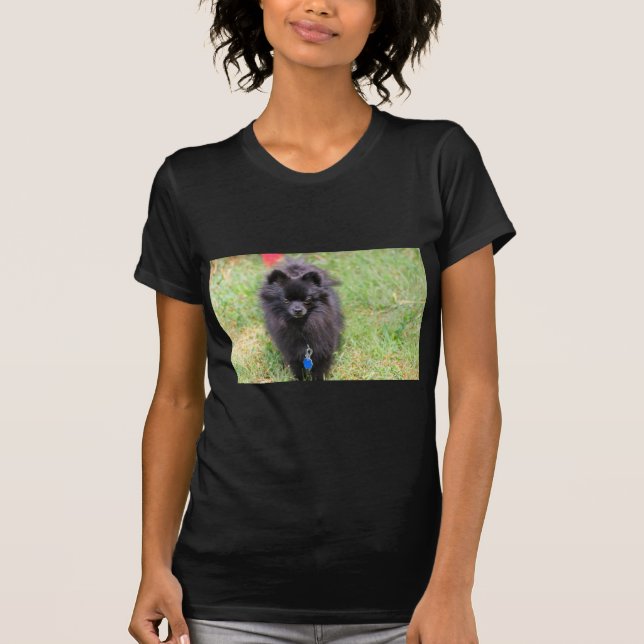 Camiseta Pablo o Pomeranian (Frente)