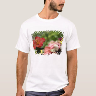 Camiseta Pacífico Sul, Polinésia Francesa, Sociedade 2