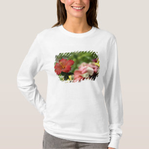 Camiseta Pacífico Sul, Polinésia Francesa, Sociedade 2