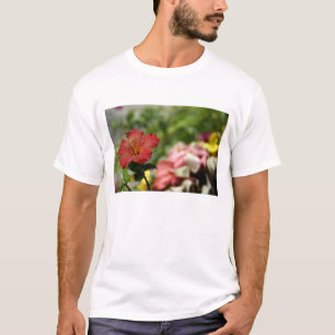 Camiseta Pacífico Sul, Polinésia Francesa, Sociedade 2