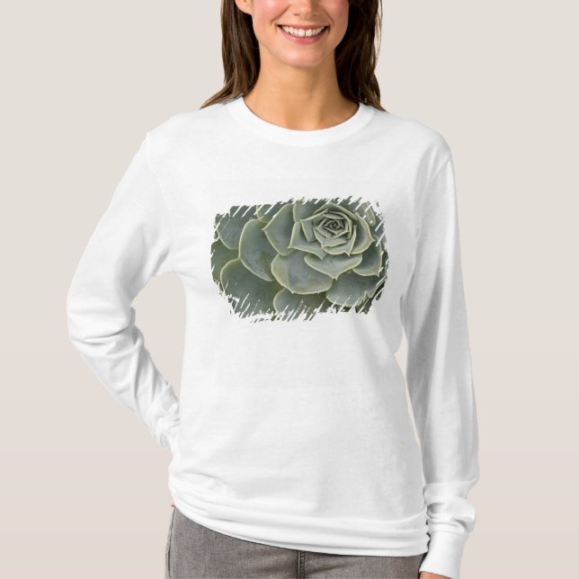 Camiseta Padrão de cacto (Frente)