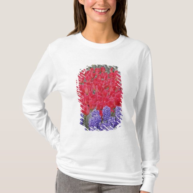 Camiseta Padrão de jacinto, tulipas e narcisos, (Frente)