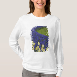 Camiseta Padrão de jardim de flores de Jacinto de Uva e 2
