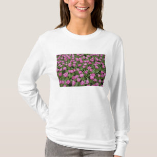 Camiseta Padrão de jardim de tulipas, Jardins Keukenhof,