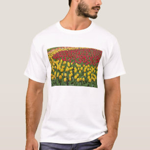 Camiseta Padrão de jardim de tulipas, Jardins Keukenhof, 2