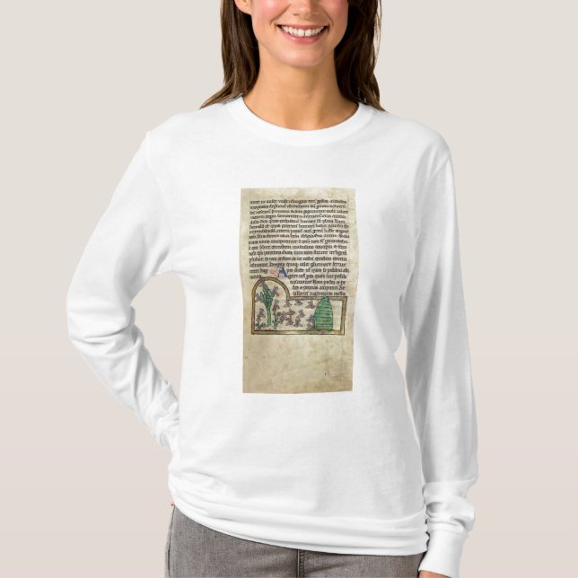Camiseta Página de Roy do texto com ilustração de (Frente)