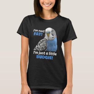 Camiseta Pais Azuis-de-periquito-azul-gordo