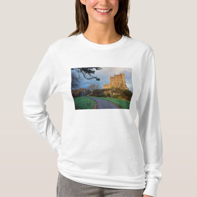 Camiseta País de Gales - Um castelo de galeria particular p (Frente)