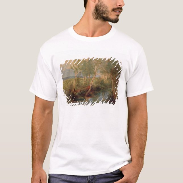 Camiseta Paisagem 2 (Frente)
