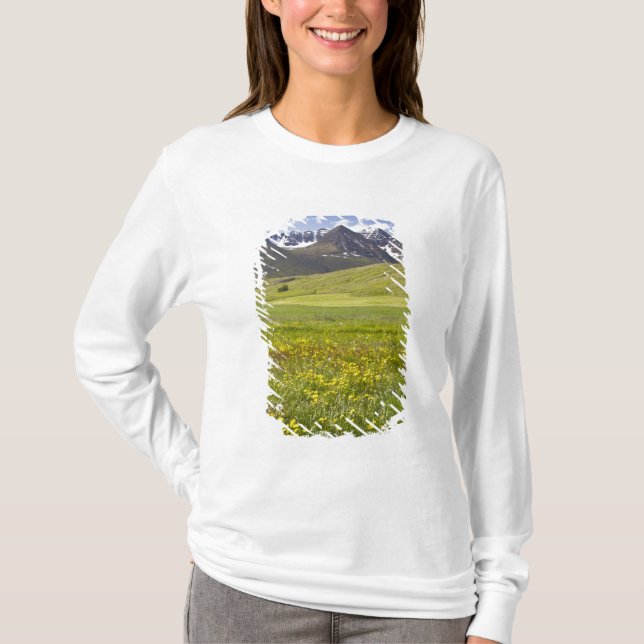 Camiseta Paisagem cêntrica do vale de Svarfadardalur (Frente)