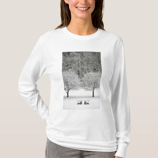 Camiseta Paisagem coberto de neve (Frente)