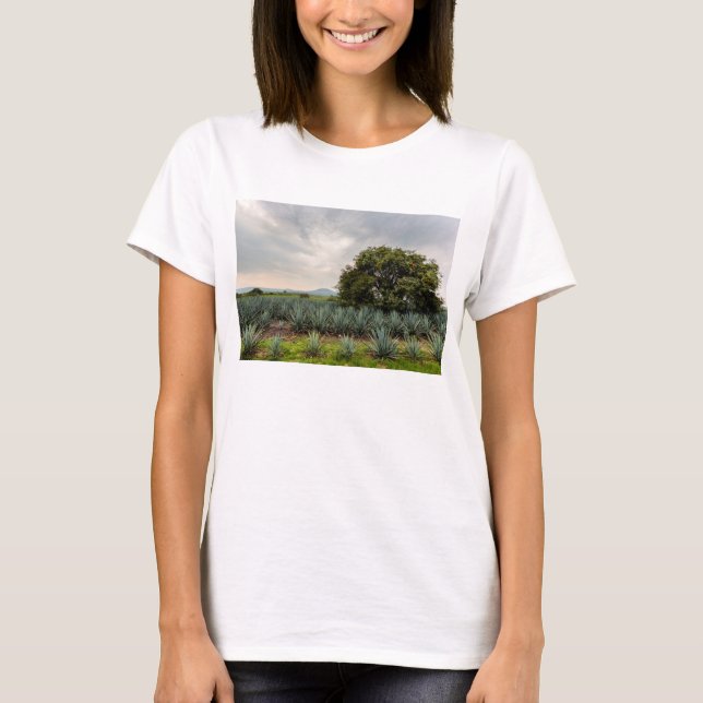Camiseta Paisagem com agave azul (Frente)