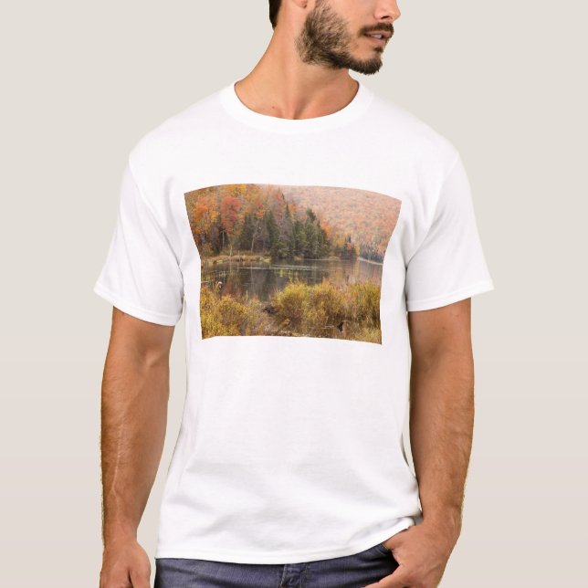 Camiseta Paisagem de outono com lago, Vermont, EUA 3 (Frente)